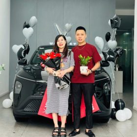 vinfast ninh bình giao xe